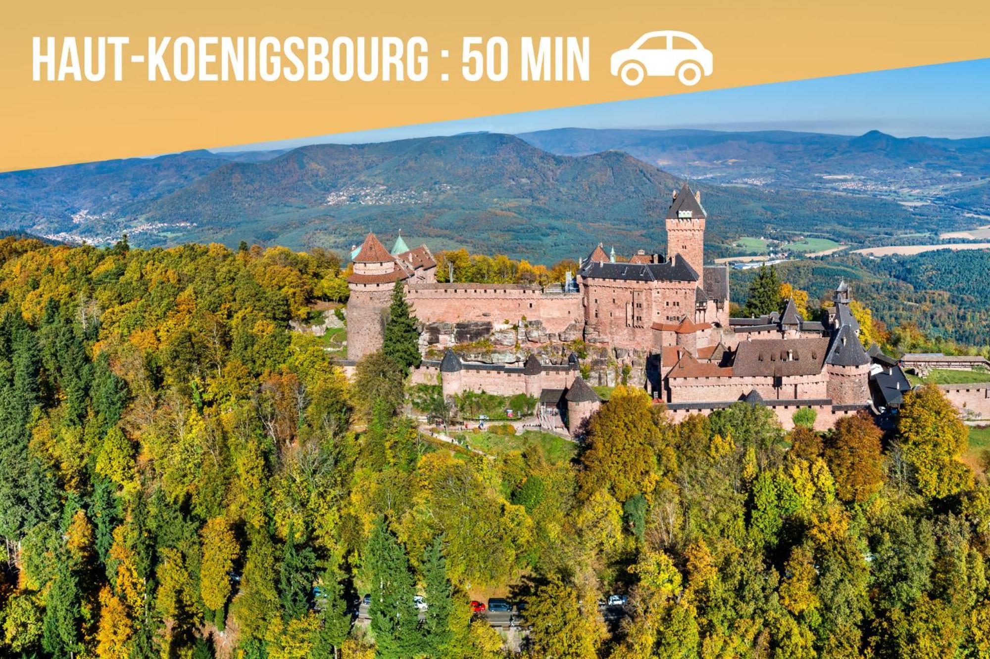 Lit Rond Tres Grand Et Confortable - Garage Possible Ou Parking Gratuit Rue - Gare 2 Min Et Ville 4 Min En Tram - Ciel Etoile - Netflix Videoprojecteur - Luxe Et Evasion Strazburg Dış mekan fotoğraf